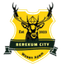 Berekum City