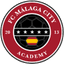 Malaga City
