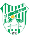 12 Bingölspor