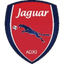 Jaguar U20